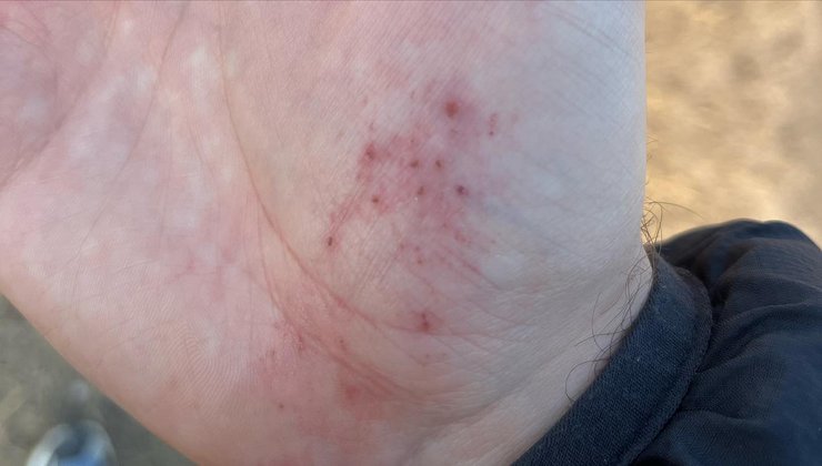 львов, задержание, ТЦК