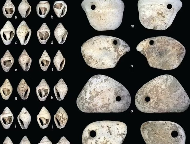 украшения из ракушек, древнее захоронение, младенец