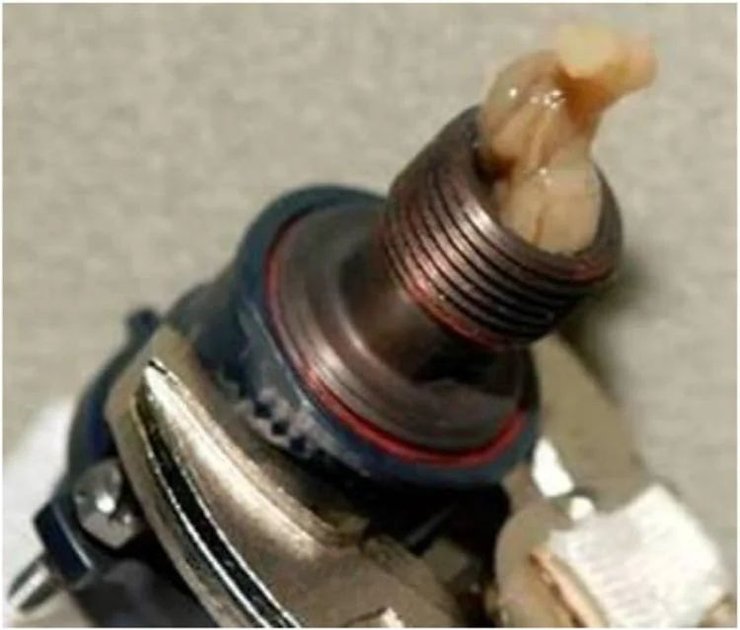 біоплівка, мікроби, МКС