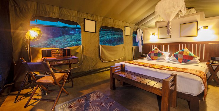 глэмпинг в Украине, комфортный отдых с палаткой