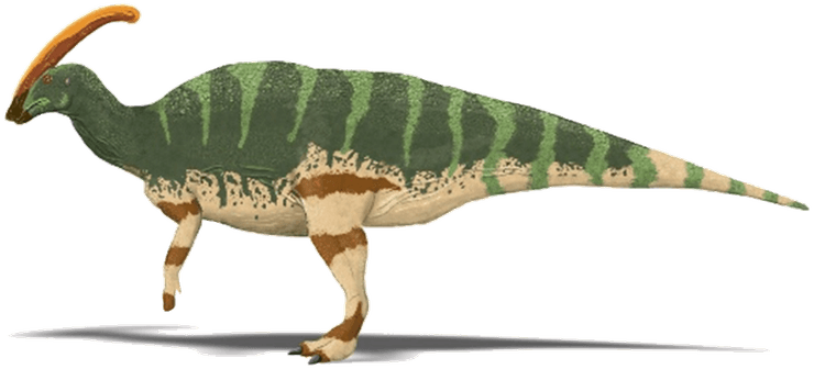 Паразауролоф.