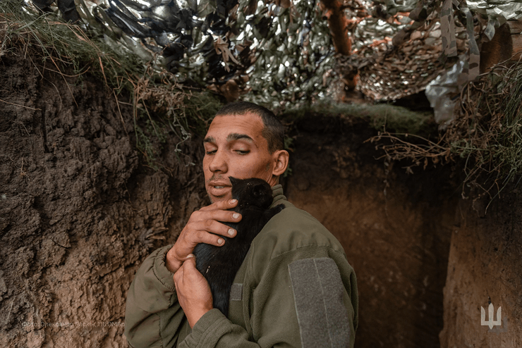 Тварини війни в проєкті Фото з війни