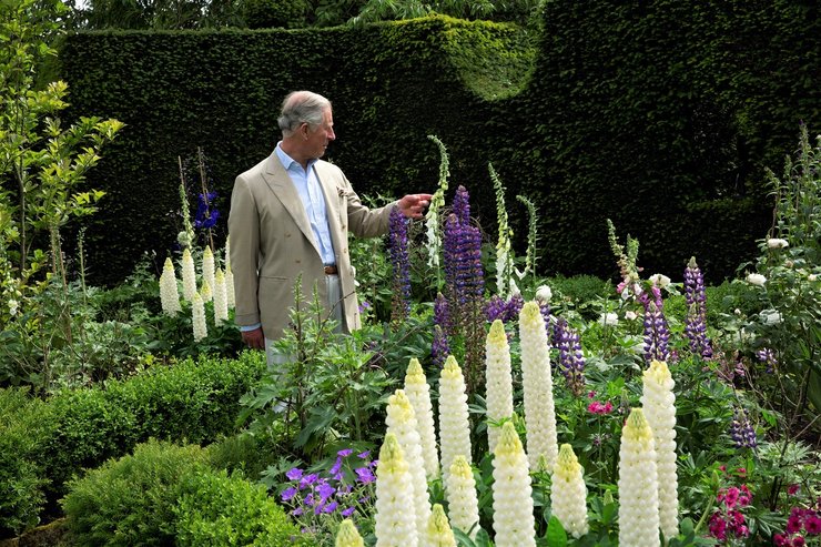 Принц Чарльз, Хайгроув-хаус