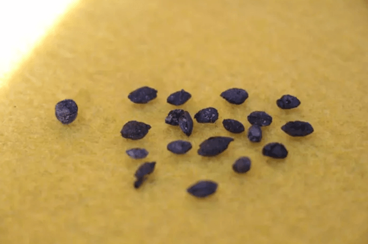 Oluz Höyük, Олуз Хёюк, анатолійська посудина, археологічні розкопки, історія кулінарії, стародавні цивілізації, глиняний горщик, турецька історія, провінція Амасья, перська палацова кухня