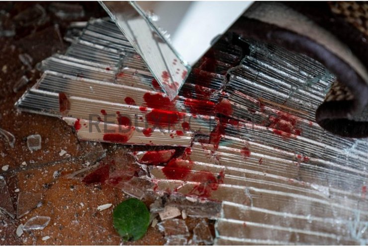 Олена Курило