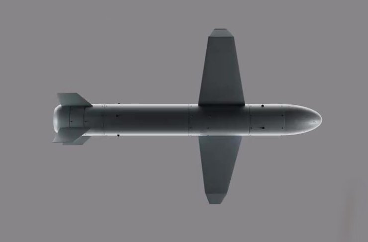 Ракета-дрон "Паляниця"