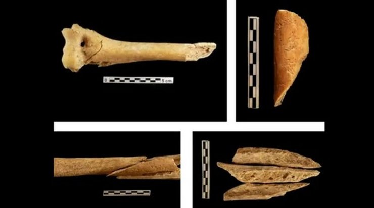 кістки, поховання епохи неоліту, Іспанія