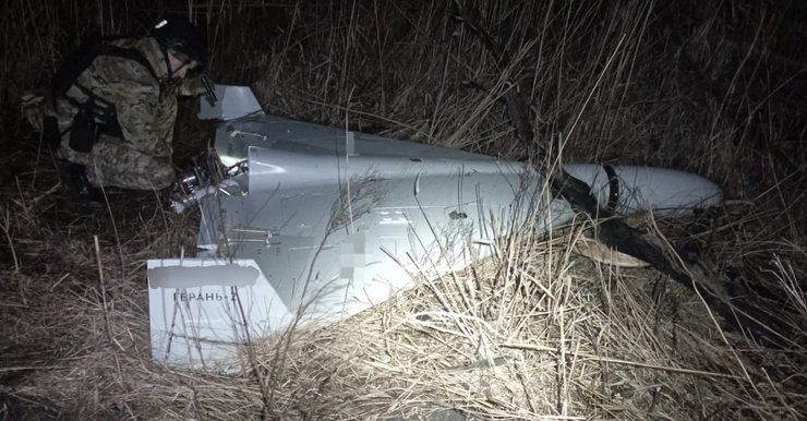 Шахед у полі