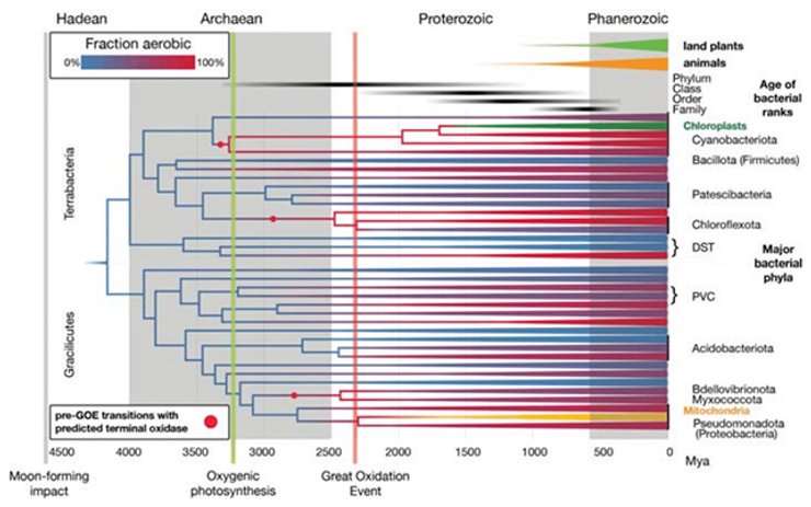 кислород, земля кислород, кислород земля