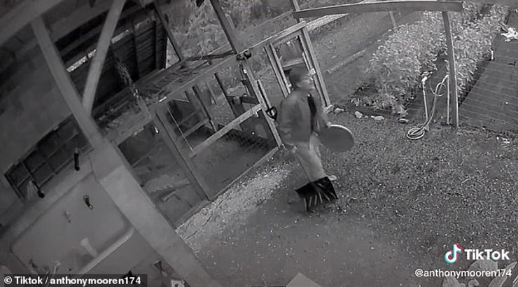 медведь нападение, нападения на людей дикого медведя гризли, нападения медведя на людей, нападение медведей, нападение диких животных видео,  напал медведь, напал медведь видео, нападение медведя в лесу,