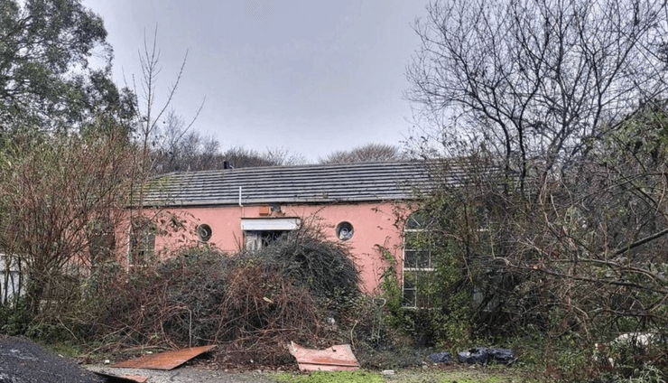 Зовнішній вигляд покинутого рожевого будинку 1970-х років, зарослого чагарником і деревами