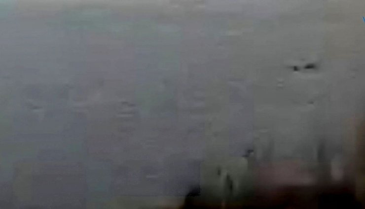 Озеро Лох-Несс, исследование озера, шотландское озеро, Лох-Несское чудовище, Несси, мифы и легенды, новая находка, дерево в воде