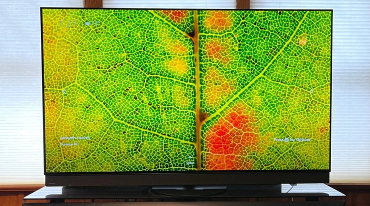 Panasonic Z95B лучшие телевизоры 2025