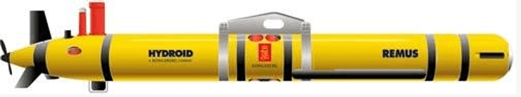 Общий вид платформы REMUS 600