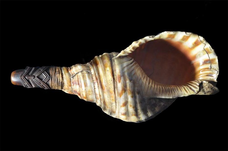 раковина, моллюски, музыкальные инструменты, пещера