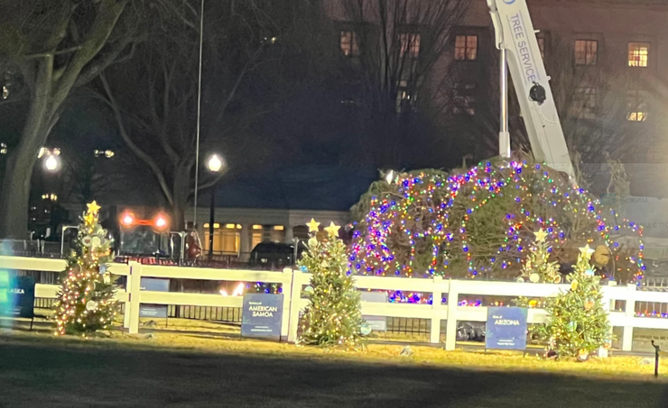 Главная елка США, падение рождественской елки, Джо Байден, Рождество, Новый год, курьезы, видео