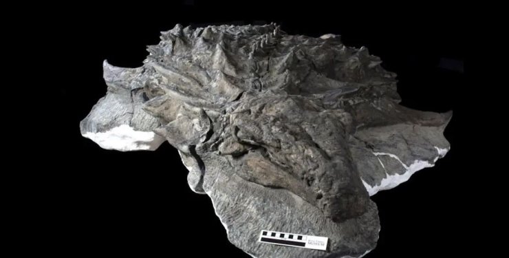 динозавры, древние животные, хищники, палеонтология, открытия, открытия о динозаврах за 2023 год, исследования, останки, древние хищники