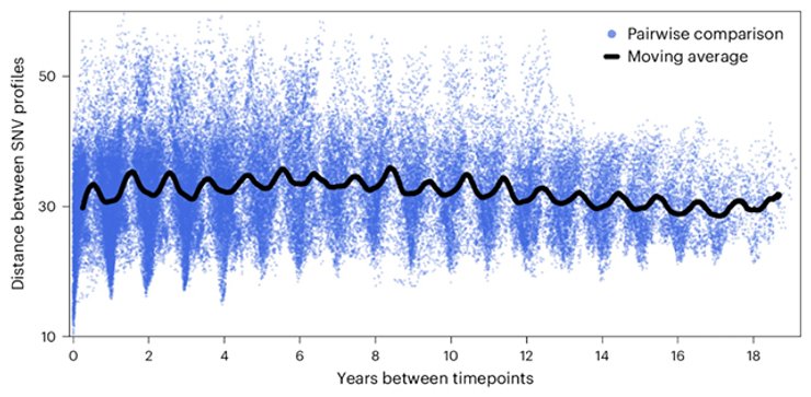 озеро, озеро Мендота, бактерії в озері