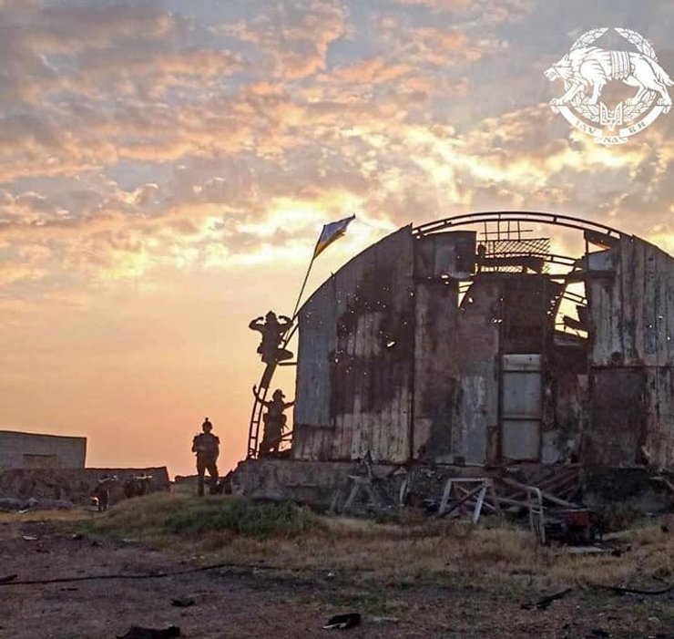 Освобождение Змеиного