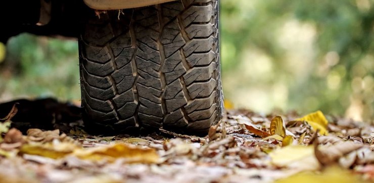 шина колесо