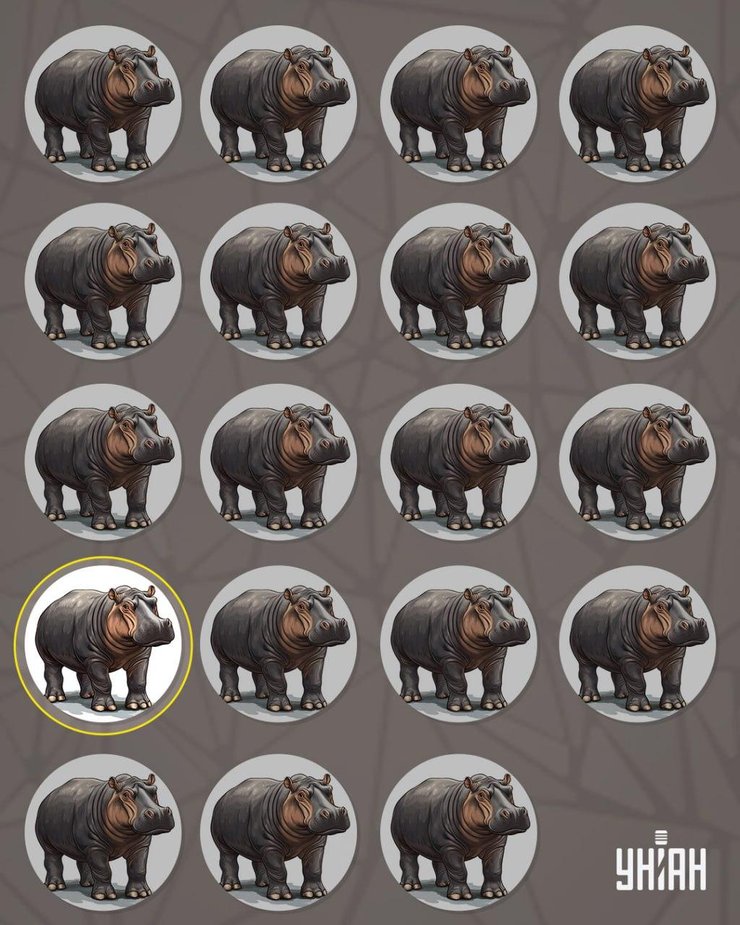 загадка з бегемотами