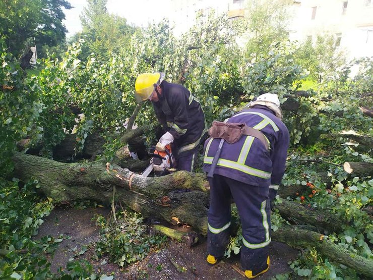 Спасатели убирают поваленные деревья с улиц Горохова