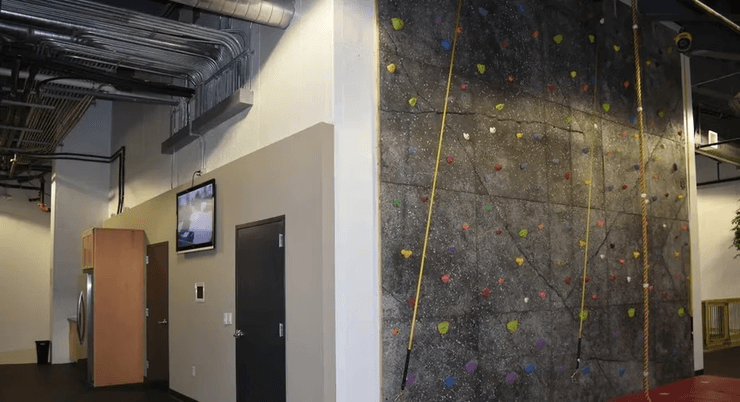 Роскошный бункер, бункер Судного дня, подземный дворец, судный день, подземное убежище, крытый бассейн, стена для скалолазания