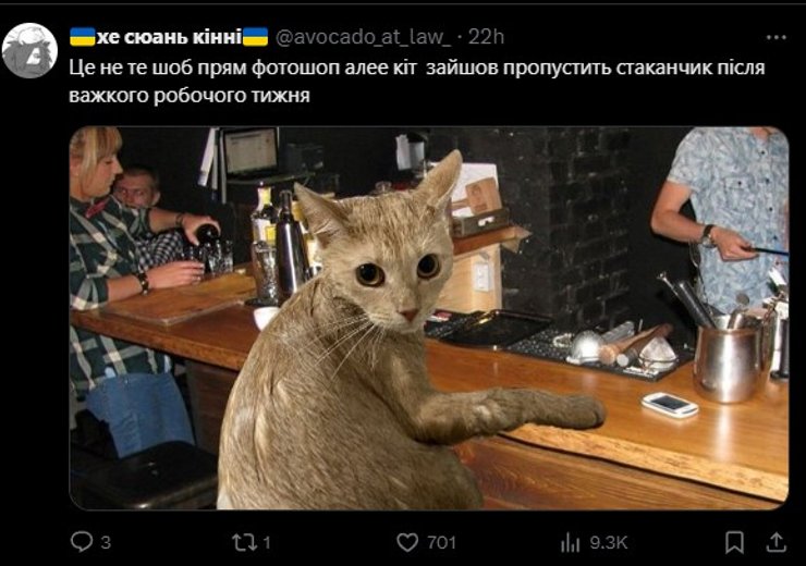 Рыжий кот, мем, фото