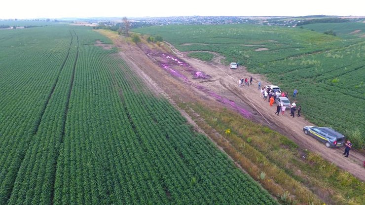 розовые лужи, Ровно, ГСЧС