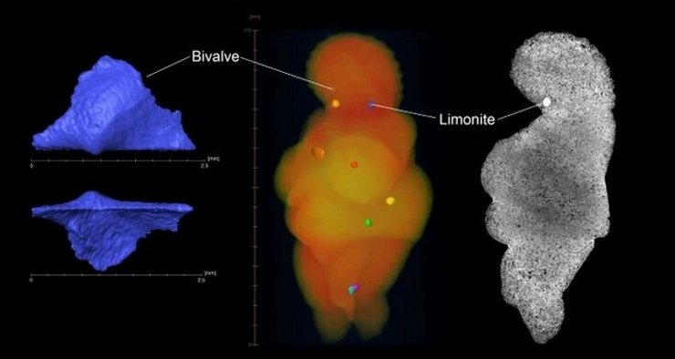 Венера Виллендорфская