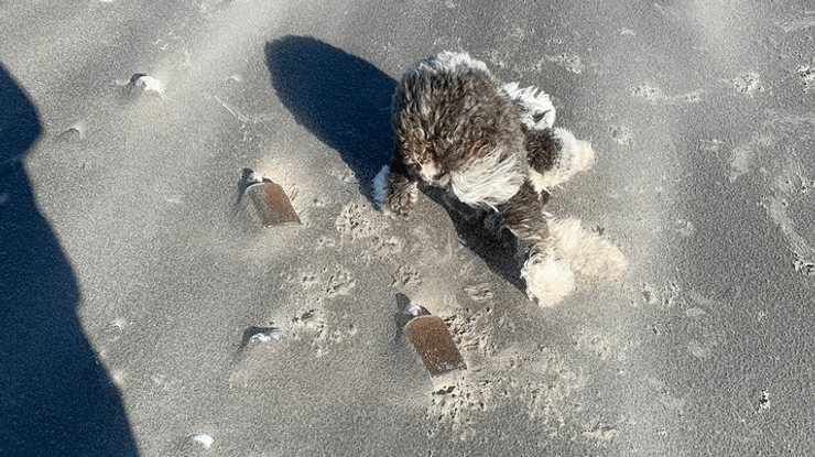 Кода обнаружил необычные бутылки