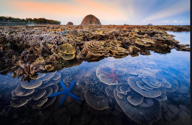 Кораллы, море, Вьетнам