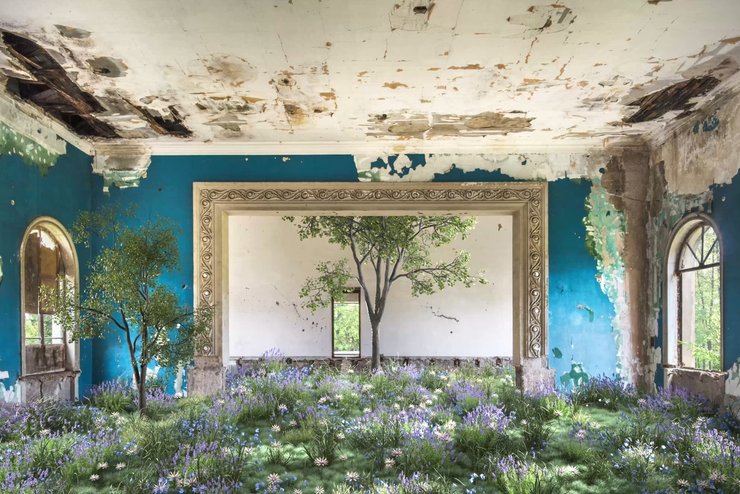 джим керрі, NFT, грузія санаторій