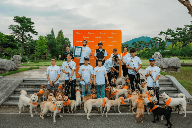 собаки рекорд південна корея