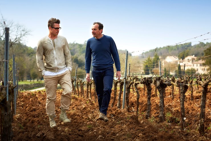 Брэд Питт, виноградник