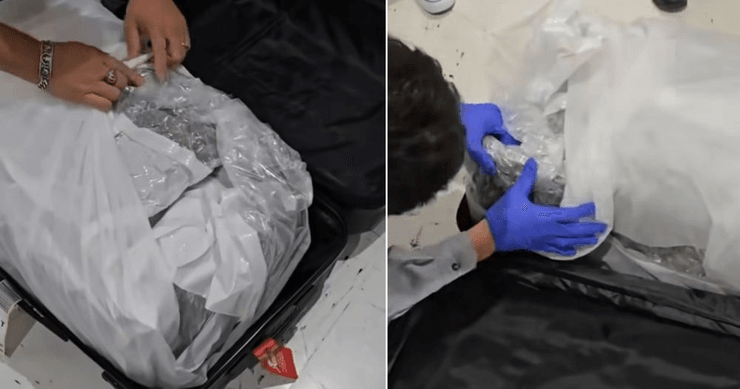 Багаж, чужой чемодан, аэропорт, международный скандал, каннабис в чемодане, перепутали багаж, задержали супругов, контрабанда наркотиков,