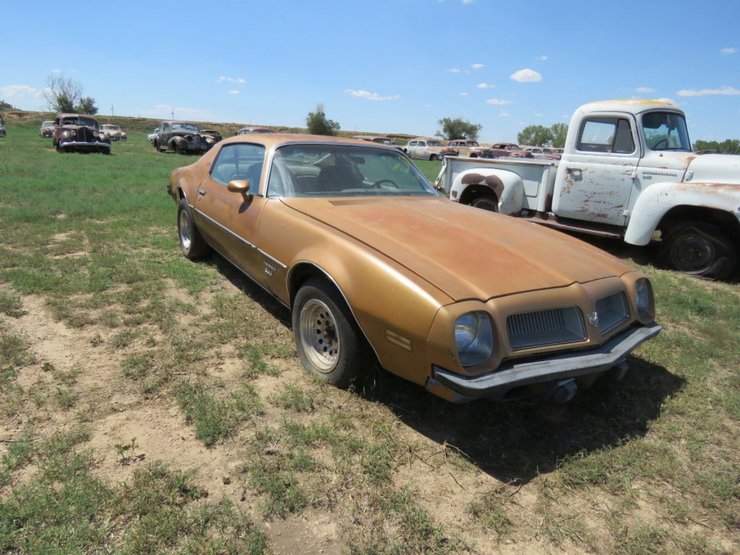 74 Pontica Firebird Pontiac Firebird