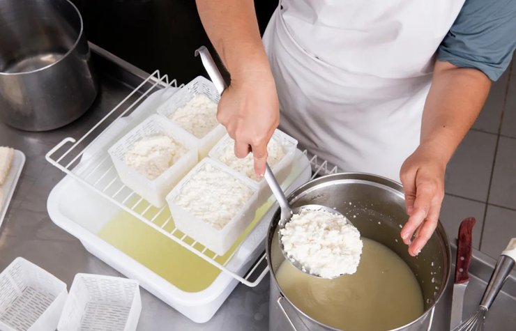 сир виробництво форми