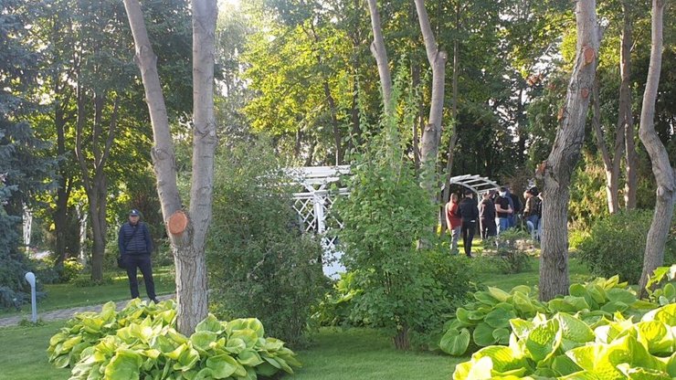 Съезд ОПЗЖ в Одессе