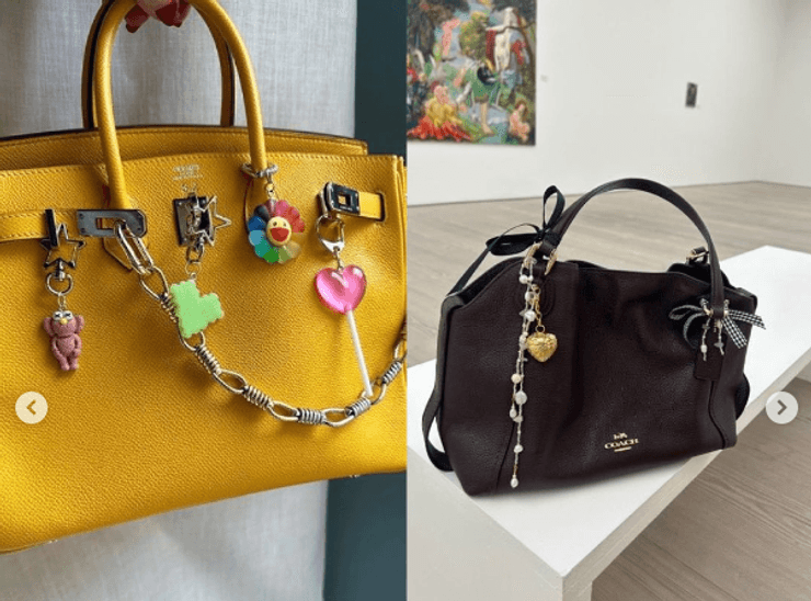 ЦАЦКИ НА СУМКУ