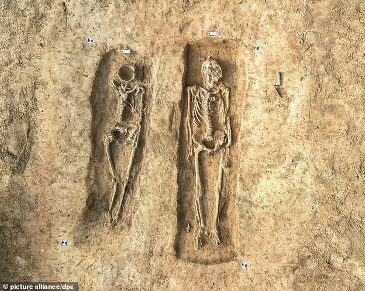 жінка, скелет, поховання, Німеччина, останки, обличчя, палац, кістки, археологи, археологія, дослідження, вчені, лабораторія, смерть