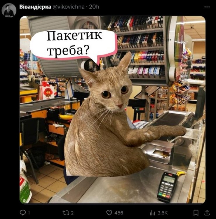 Рыжий кот, мем, фото