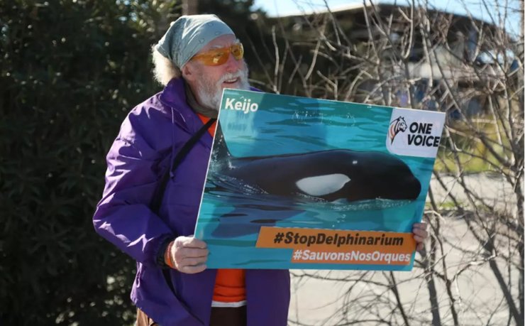 Мужчина держит плакат с изображением косатки Кейджо во время акции протеста во Франции