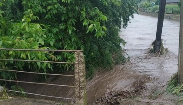 непогода, ливни, Черновицкая область, Буковина