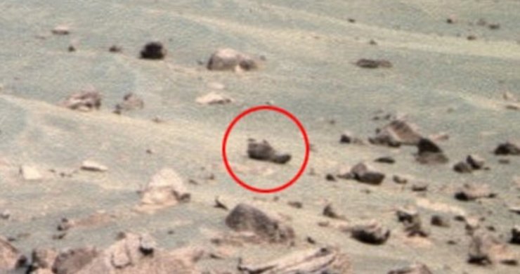 В 2016 году Уоринг заявил, что обнаружил на фотографии, сделанной Opportunity, "ботинок". Уоринг предположил, что "обувь внеземного солдата, который воевал на Марсе"