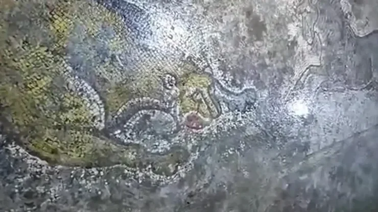 Діяли на підставі оперативної інформації: у Туреччині врятували 1500-річну мозаїку від контрабандистів (фото)3