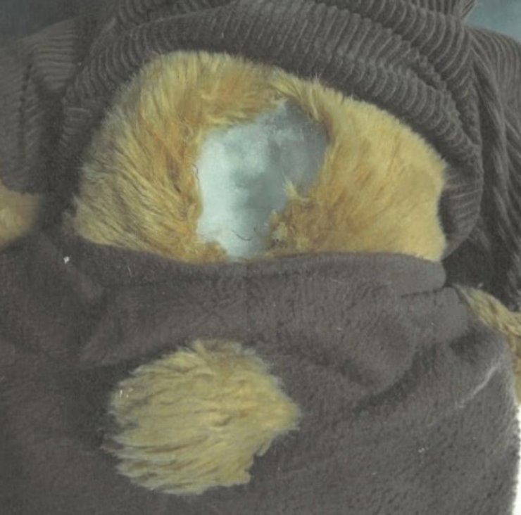 Плюшевый мишка — контейнер