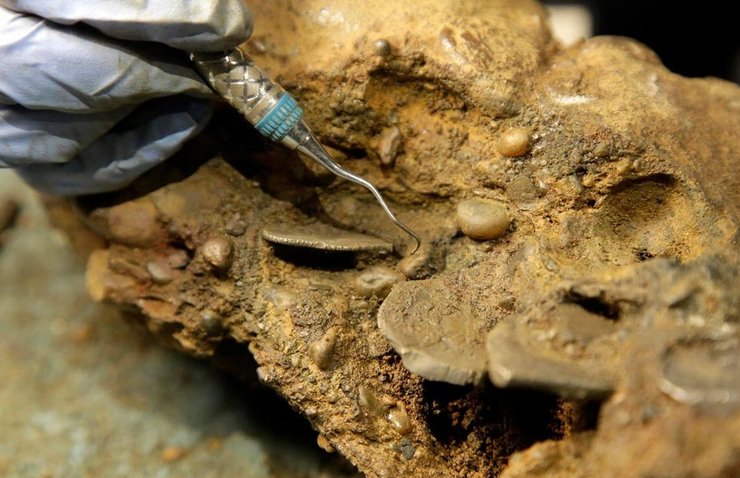 клад, затонувшее судно, затонувший корабль, подводные клады, подводная археология, клады на дне моря