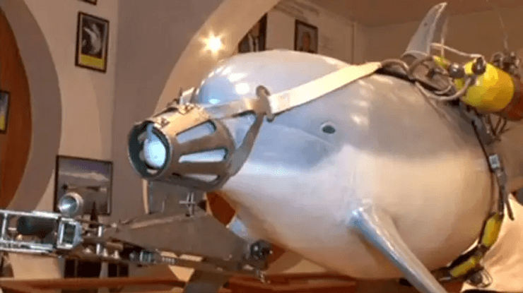 дельфины как оружие