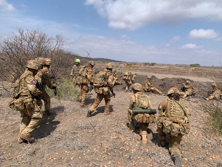 заповедник, пожар, кения, британские военные, погибший слон, слон, Лоллдайга